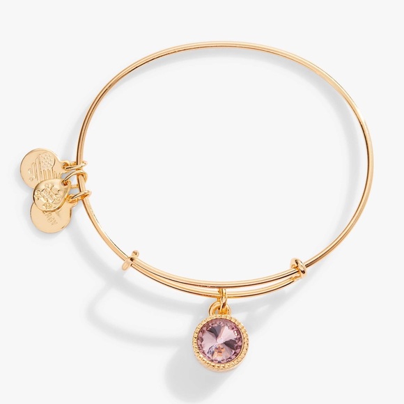 Alex and Ani Jewelry - 🆕 Alex and Ani June Light Amethyst Birthstone Charm Bangle Bracelet